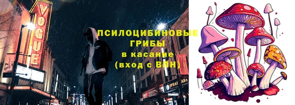 ПСИЛОЦИБИНОВЫЕ ГРИБЫ Зеленодольск