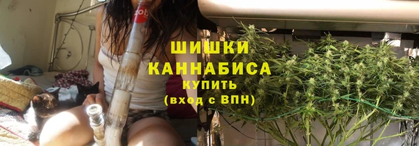 ПСИЛОЦИБИНОВЫЕ ГРИБЫ Зеленодольск