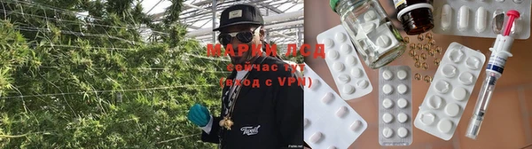 ПСИЛОЦИБИНОВЫЕ ГРИБЫ Зеленодольск